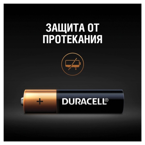 Батарейки алкалиновые Duracell Basic LR03 (AAA) 12 шт (451362) фото 2